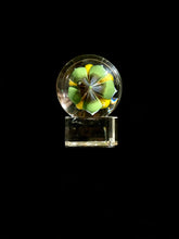 Load image into Gallery viewer, John Kobuki x Bob Snodgrass - Skull Collab Marble
