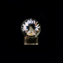 Load image into Gallery viewer, John Kobuki x Bob Snodgrass - Skull Collab Marble
