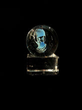 Load image into Gallery viewer, Bob Snodgrass - Skull Marble
