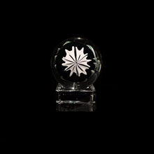 Load image into Gallery viewer, John Kobuki x Bob Snodgrass - Skull Collab Marble
