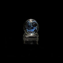 Load image into Gallery viewer, Bob Snodgrass - Skull Marble
