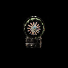 Load image into Gallery viewer, John Kobuki x Bob Snodgrass - Skull Collab Marble
