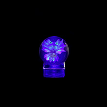Load image into Gallery viewer, John Kobuki x Bob Snodgrass - UV Skull Collab Marble
