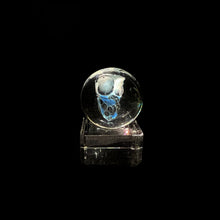 Load image into Gallery viewer, Bob Snodgrass - Skull Marble
