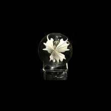 Load image into Gallery viewer, John Kobuki x Bob Snodgrass - UV Skull Collab Marble
