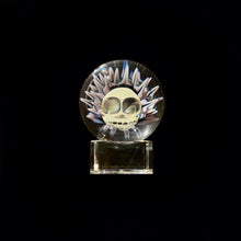 Load image into Gallery viewer, John Kobuki x Bob Snodgrass - Skull Collab Marble
