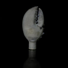 Load image into Gallery viewer, Pubz Glass Blue Crab Claw Chillum
